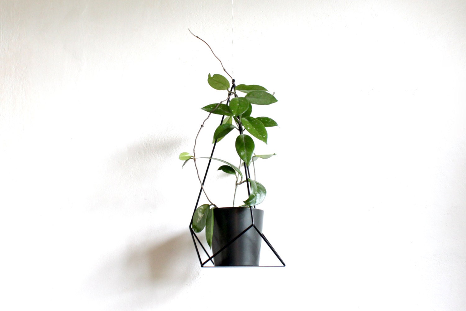 Geometric Plant Hanger: Powder Coated Steel Hanging Planter