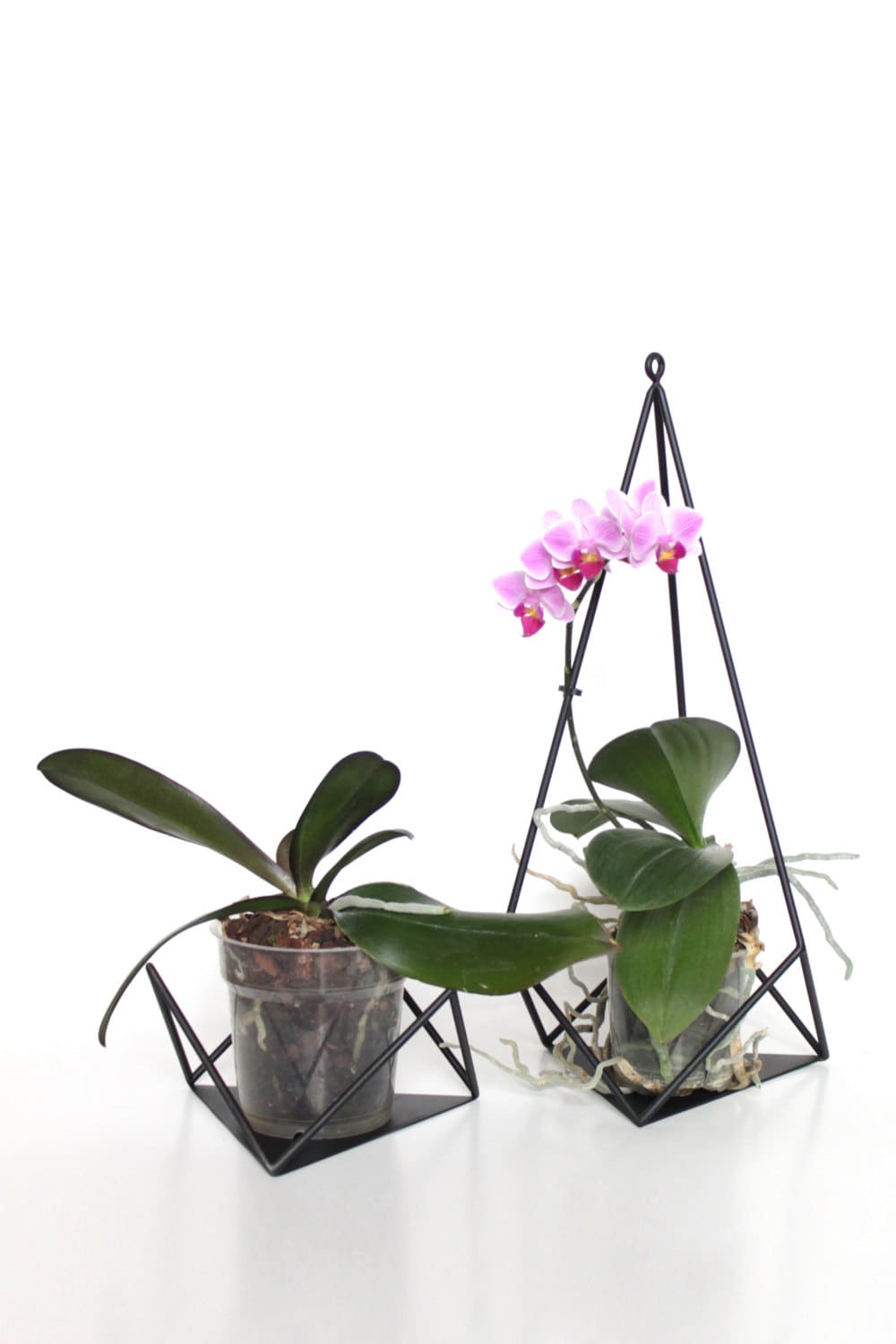 Geometric hanging or standing planter - Plant holder ''Brilliant'' from ''GEM collection''