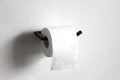 Wall Mounted Toilet Paper Roll Holder: Powder Coated Steel