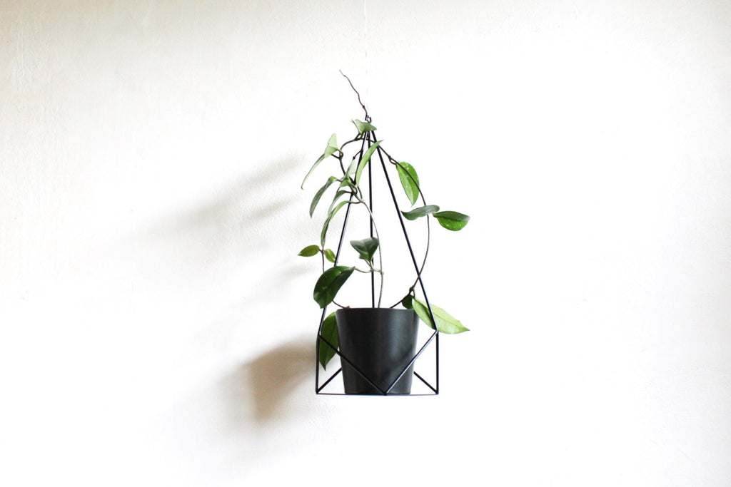 Geometric Plant Hanger: Powder Coated Steel Hanging Planter