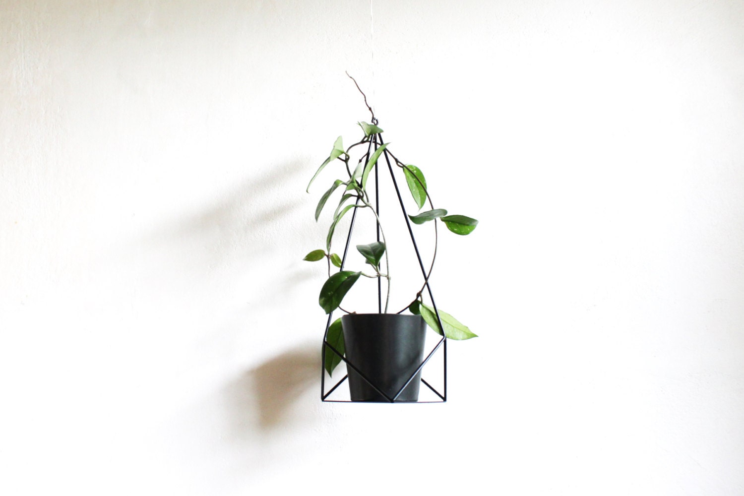Geometric Plant Hanger: Powder Coated Steel Hanging Planter