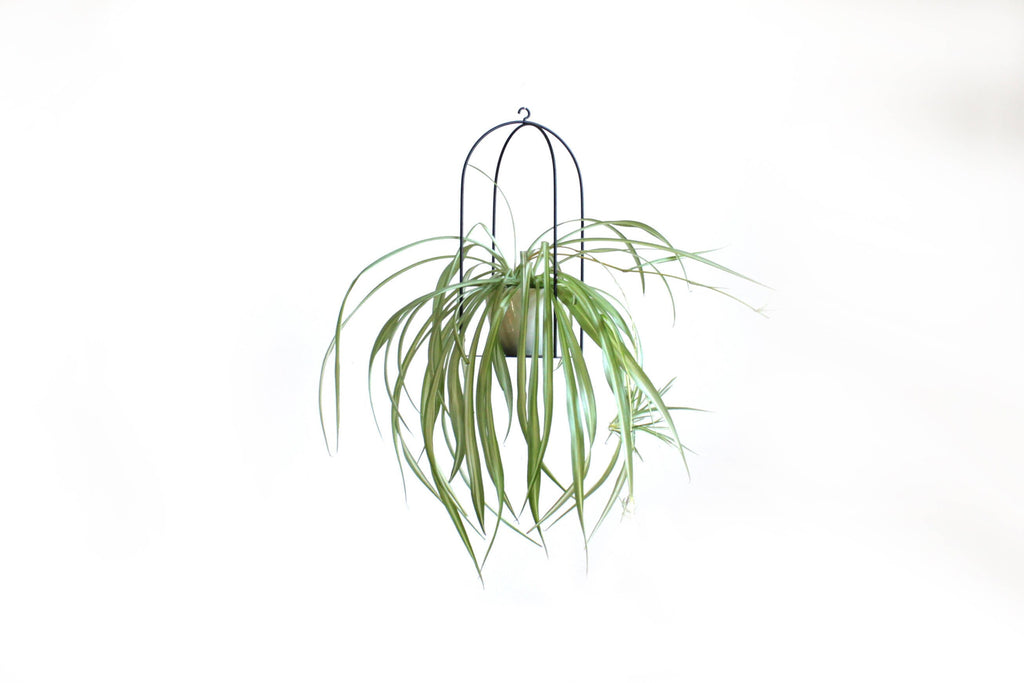 2 Birdcage plant holder large and small