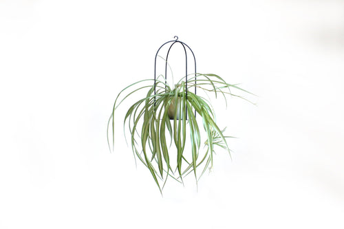 2 Birdcage plant holder large and small