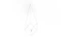 Geometric hanging planter - Plant hanger ''Crystal'' from ''GEM collection''