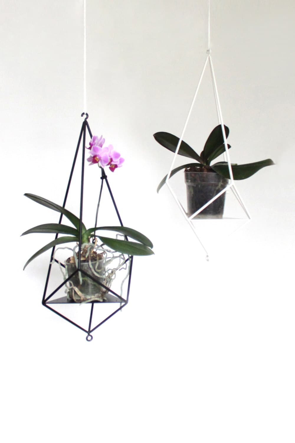 Flower hanging planter - Plant hanger ''Crystal'' from ''GEM collection''