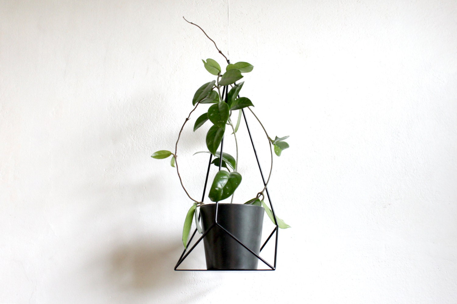 Geometric Plant Hanger: Powder Coated Steel Hanging Planter