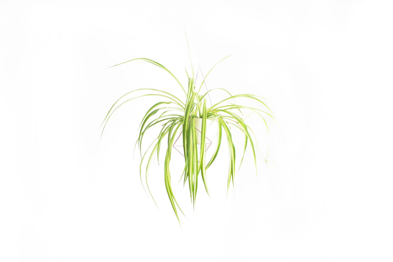 Geometric hanging planter - Plant hanger ''Crystal'' from ''GEM collection''