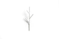 Large Twig hooks hanger - metal steel welded powder coated twig - coat or accessories holder