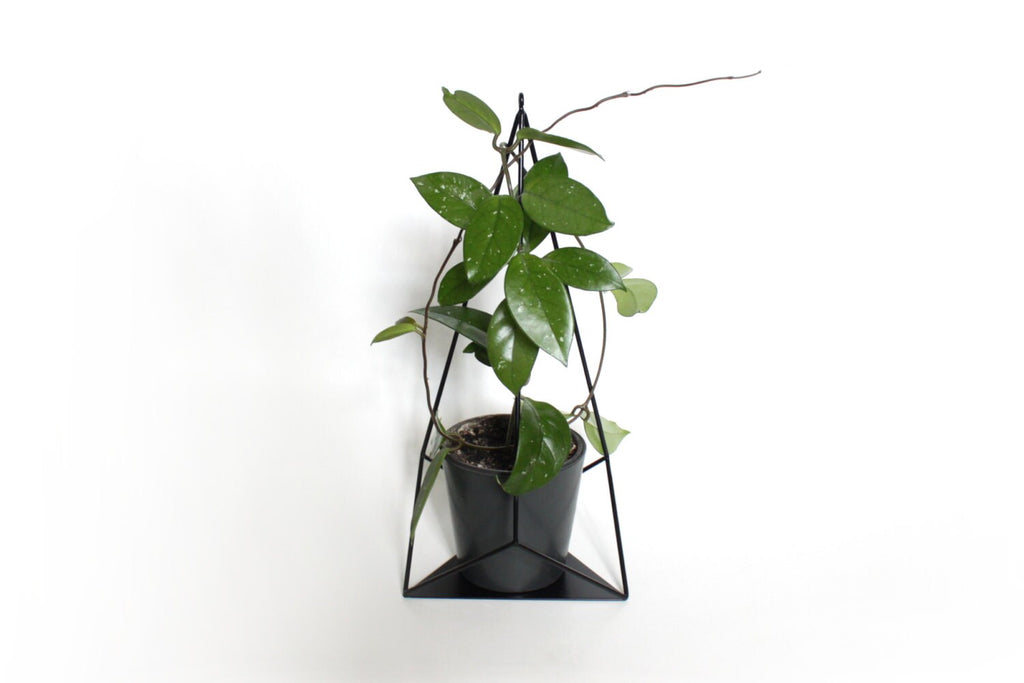 Geometric hanging or standing planter - Plant holder ''Brilliant'' from ''GEM collection''