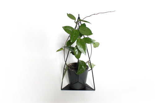 Geometric hanging or standing planter - Plant holder ''Brilliant'' from ''GEM collection''