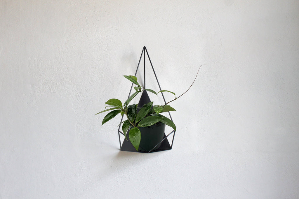 Geometric wall planter - Plant holder ''Ruby'' from ''GEM collection''