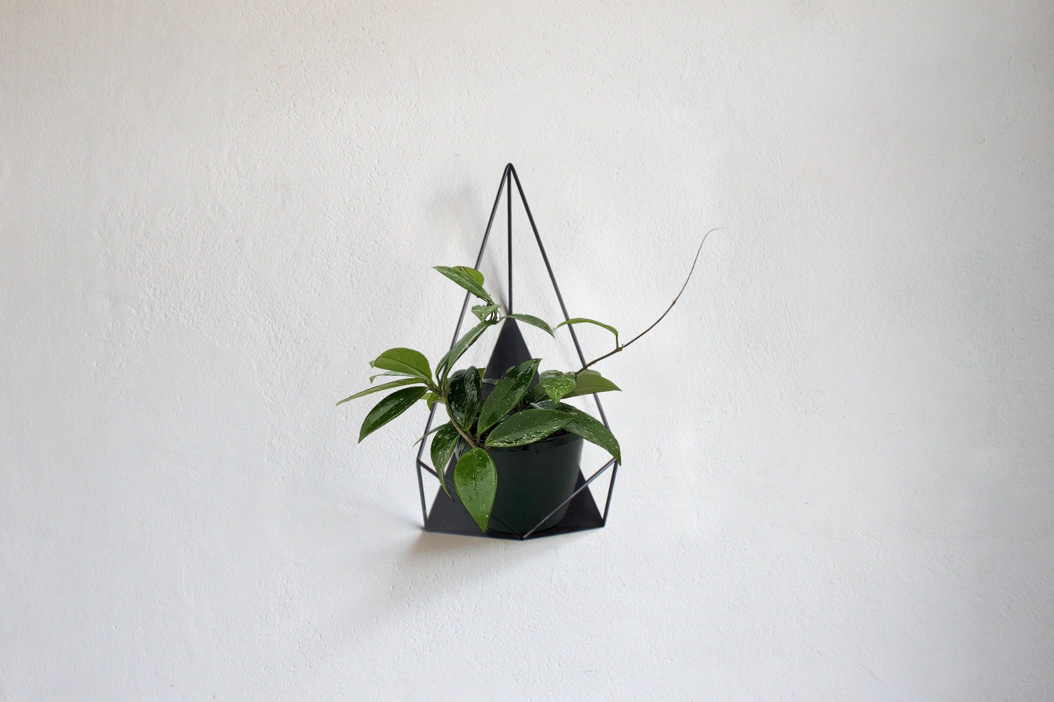 Geometric wall planter - Plant holder ''Ruby'' from ''GEM collection''