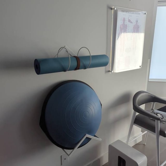 Vertical Bosu Ball Holder: Steel Balance Ball Storage Rack