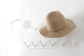 Wall Mount Hat Display: Metal Cap Holder Rack