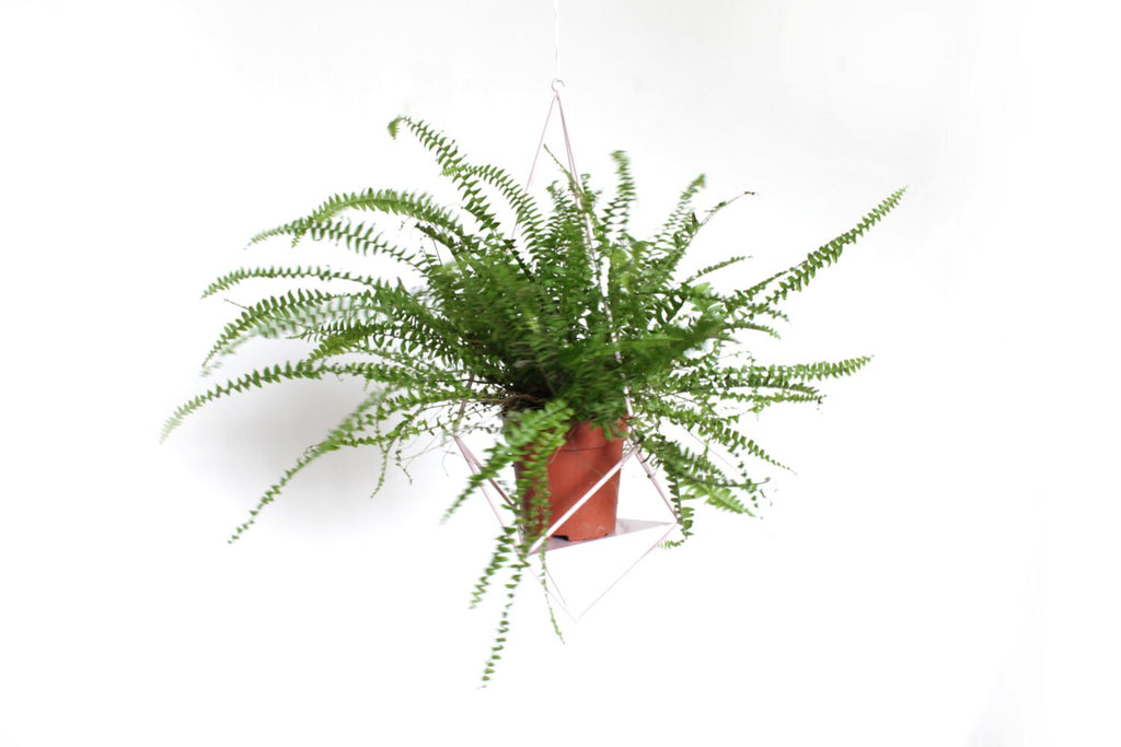 Geometric hanging planter - Plant hanger ''Crystal'' from ''GEM collection''