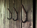 Set of 5 Small Birch Plywood Hooks: Natural Sauna or Nursery Hangers