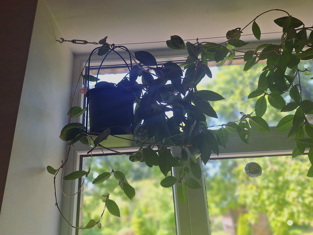 Birdcage plant holder small